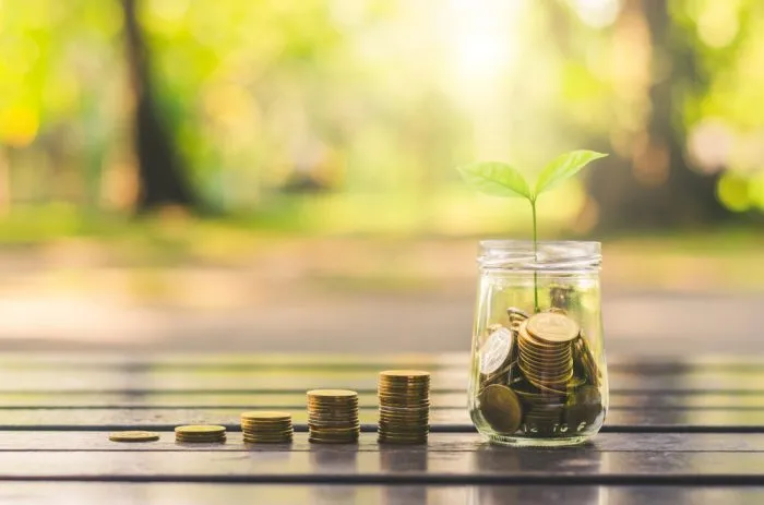 Mynter som vokser til en plante - symbol på sammensatt investeringsavkastning